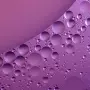 systatiko bacillus ferment