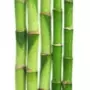 systatiko bamboo