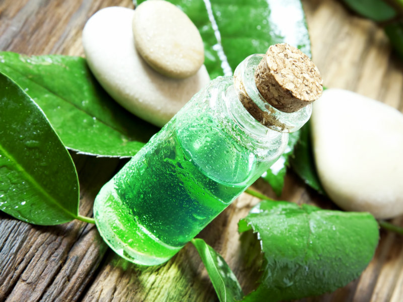 Tea Tree Oil Podia